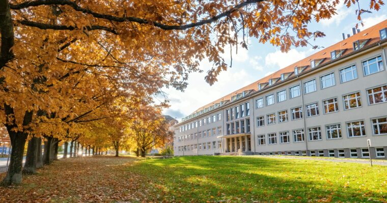 Why We Need a Global Approach to Gender and the History of Institutions